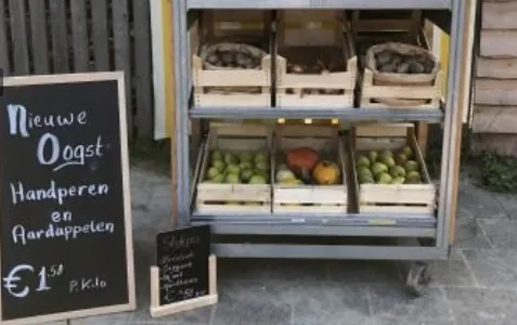 screenshot 20220312 093026