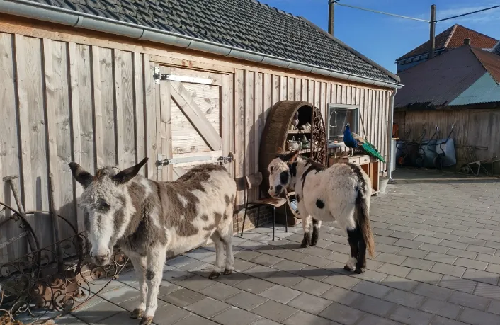 screenshot 20220312 144132