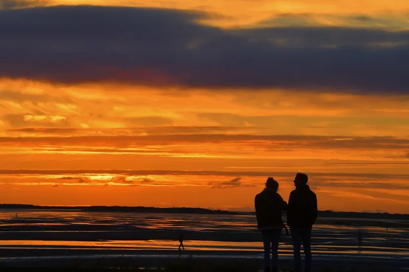 screenshot 20220313 144249