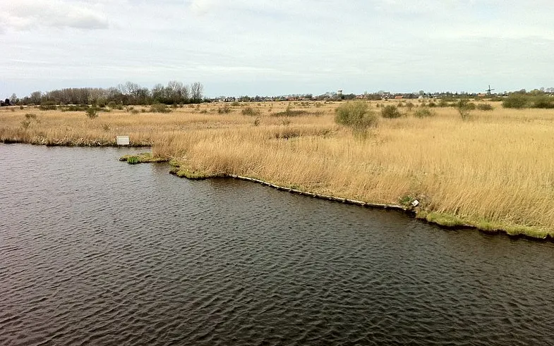 screenshot 20220315 162013