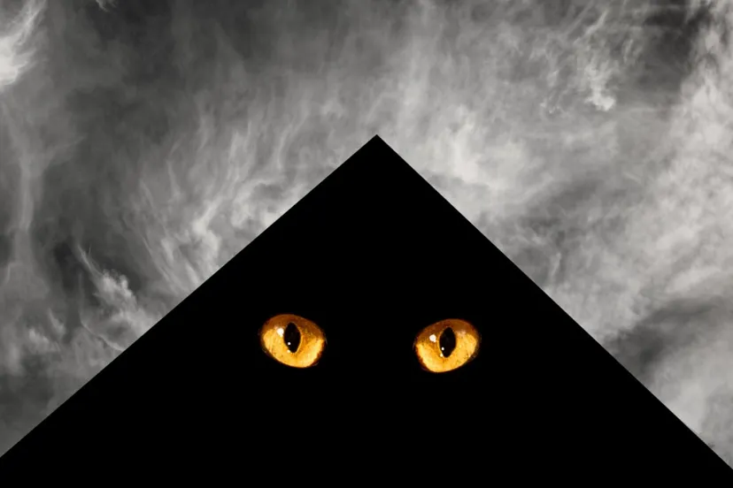 screenshot 20220318 083233