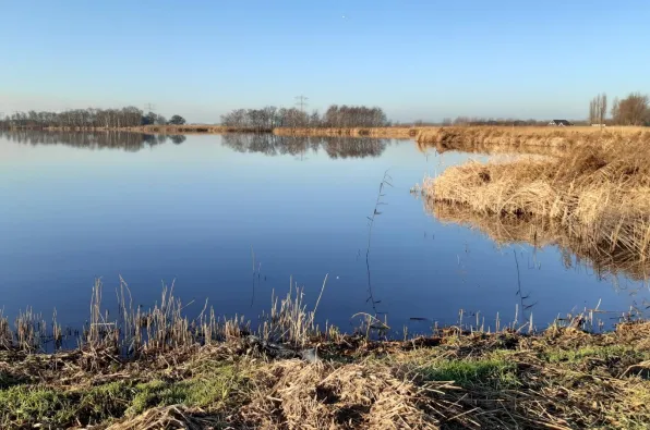 screenshot 20220318 123343