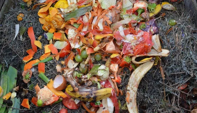 screenshot 20220322 160525