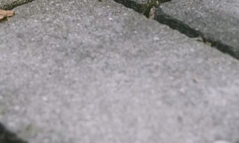 screenshot 20220324 102206