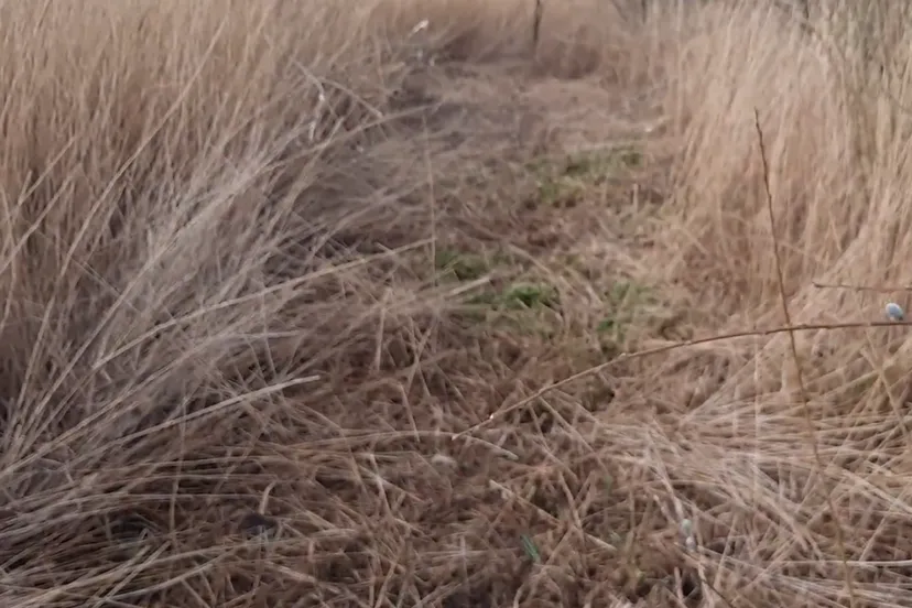 screenshot 20220325 101233