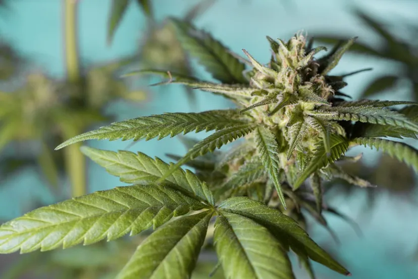 screenshot 20220330 125617