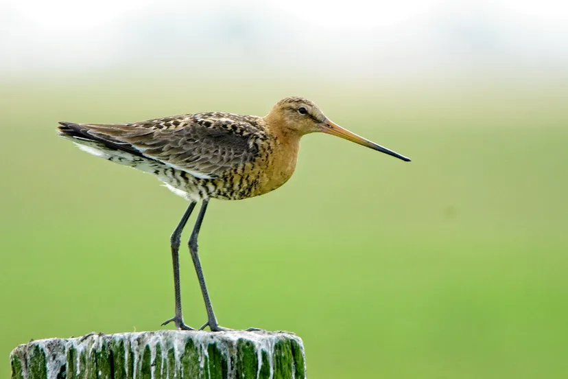 screenshot 20220330 164147