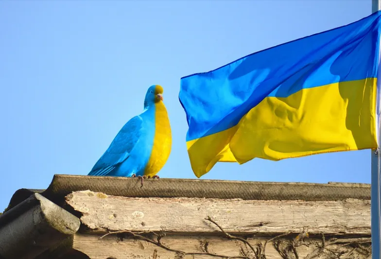 screenshot 20220401 164130