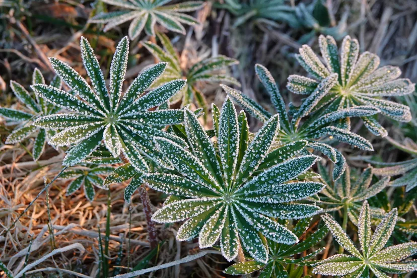 screenshot 20220403 085330