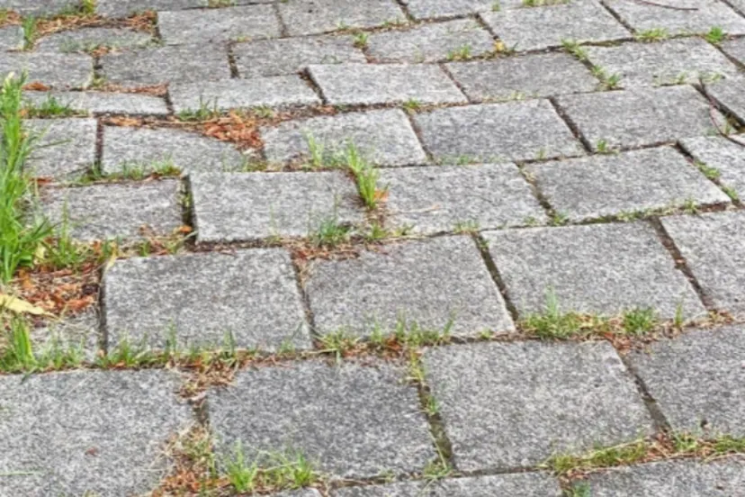 screenshot 20220403 105701