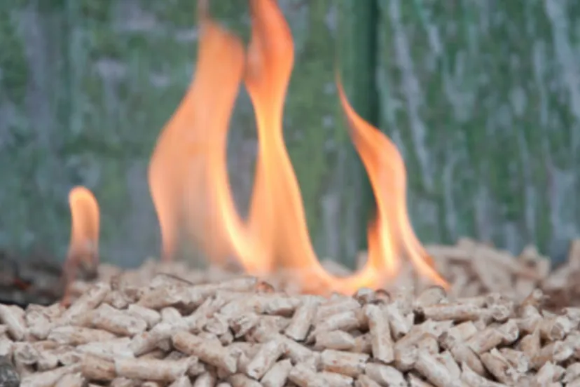 screenshot 20220404 100709