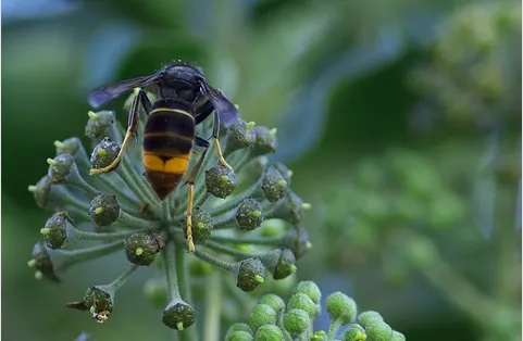 screenshot 20220405 101651