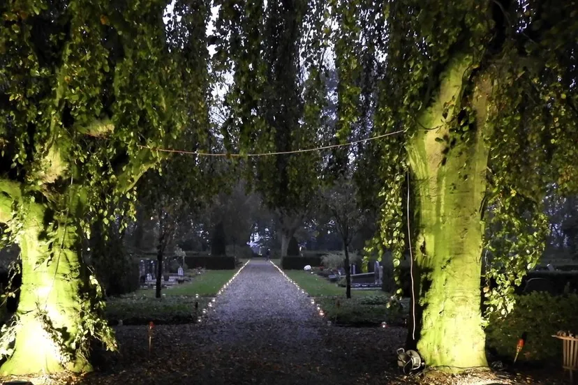 screenshot 20220408 163158