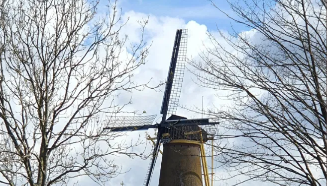 screenshot 20220409 143256