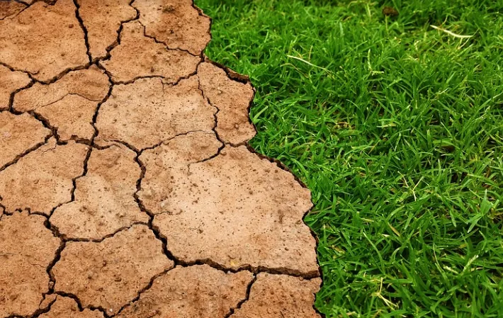 screenshot 20220412 133352