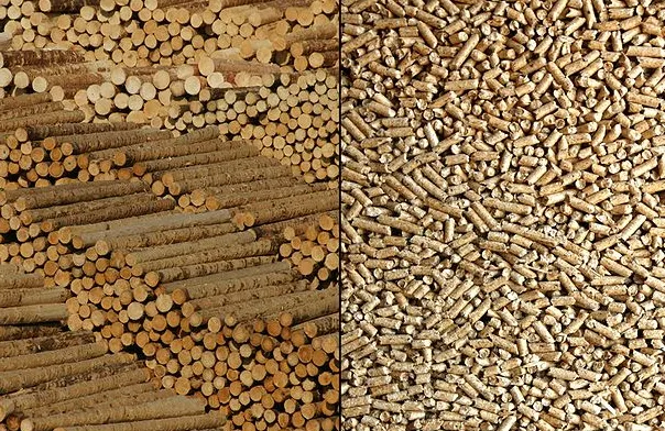 screenshot 20220413 151242