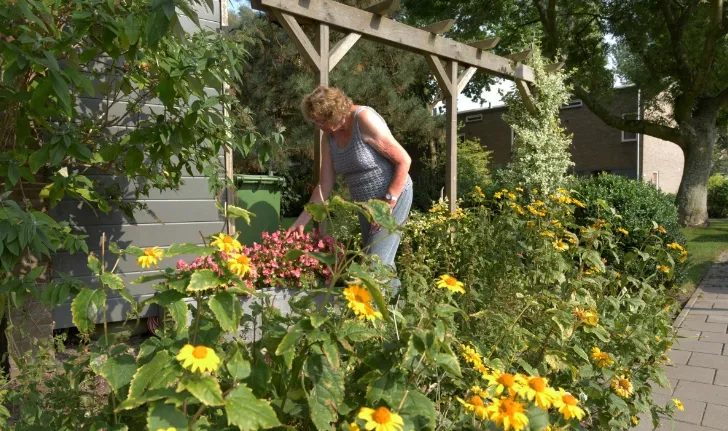 screenshot 20220418 095514