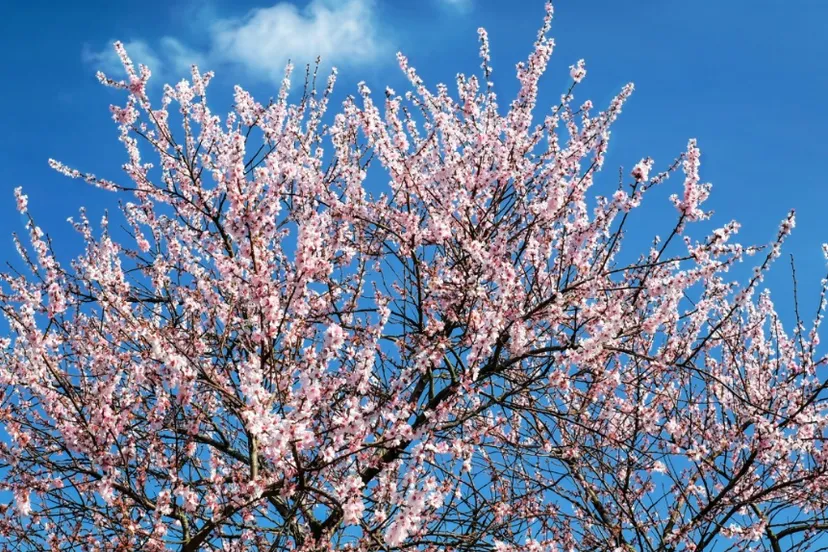 screenshot 20220421 104954