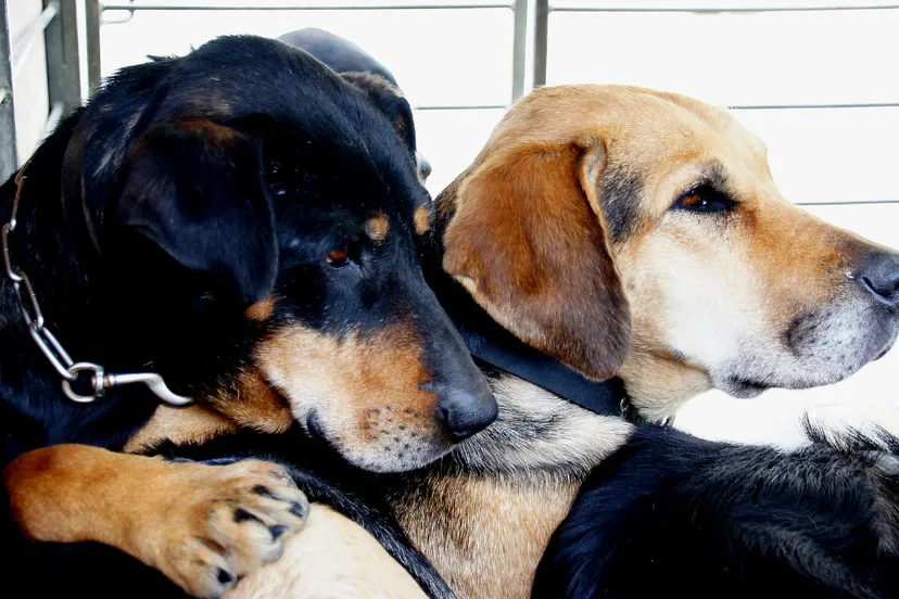 screenshot 20220422 164319