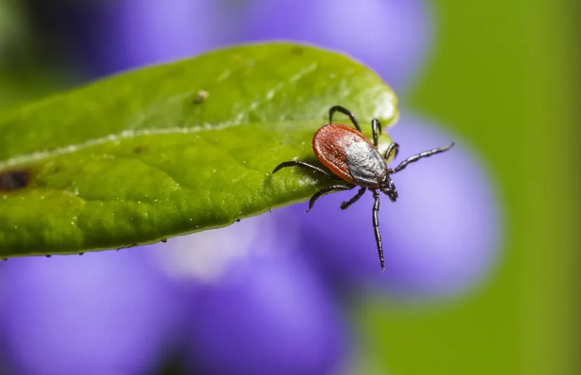 screenshot 20220427 110326