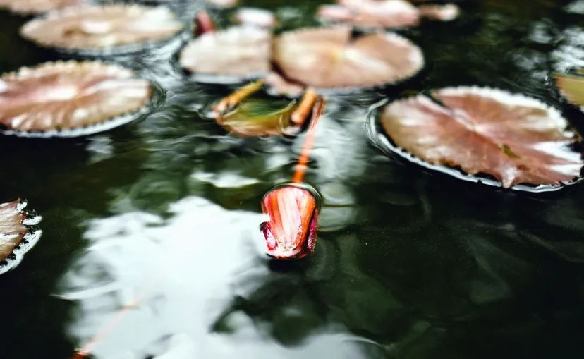 screenshot 20220430 110127