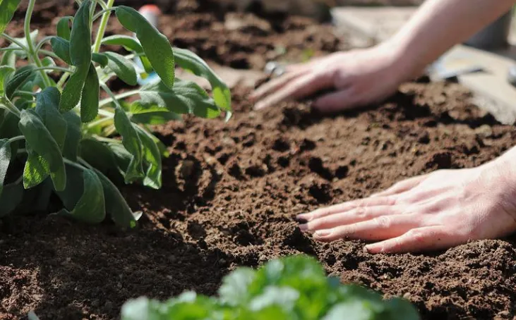 screenshot 20220507 105648