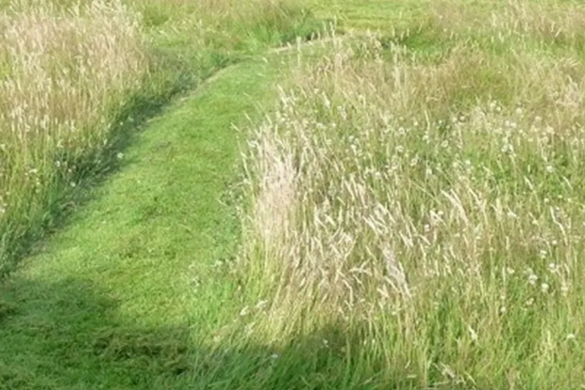 screenshot 20220512 133655