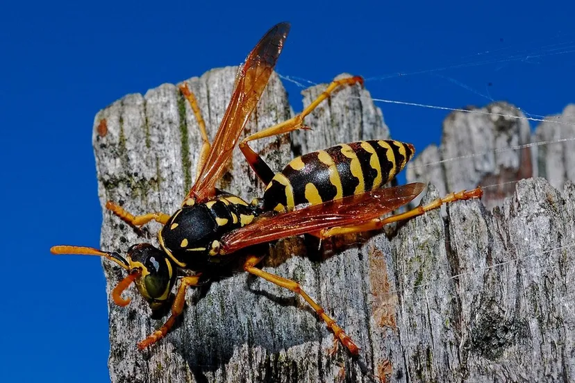 screenshot 20220516 090909