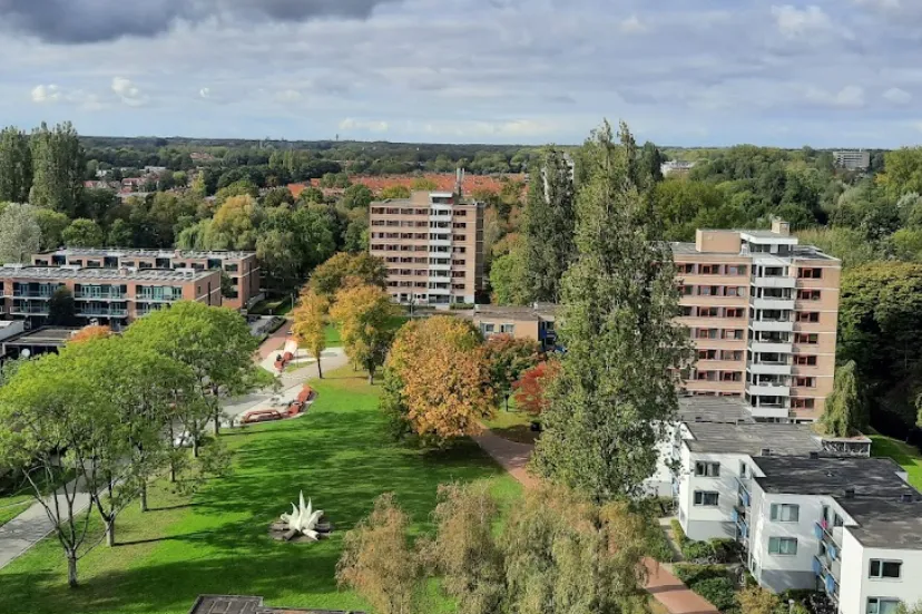 screenshot 20220518 154601