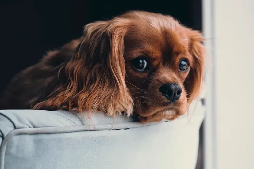 screenshot 20220520 131430