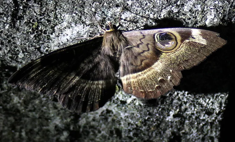 screenshot 20220524 090725