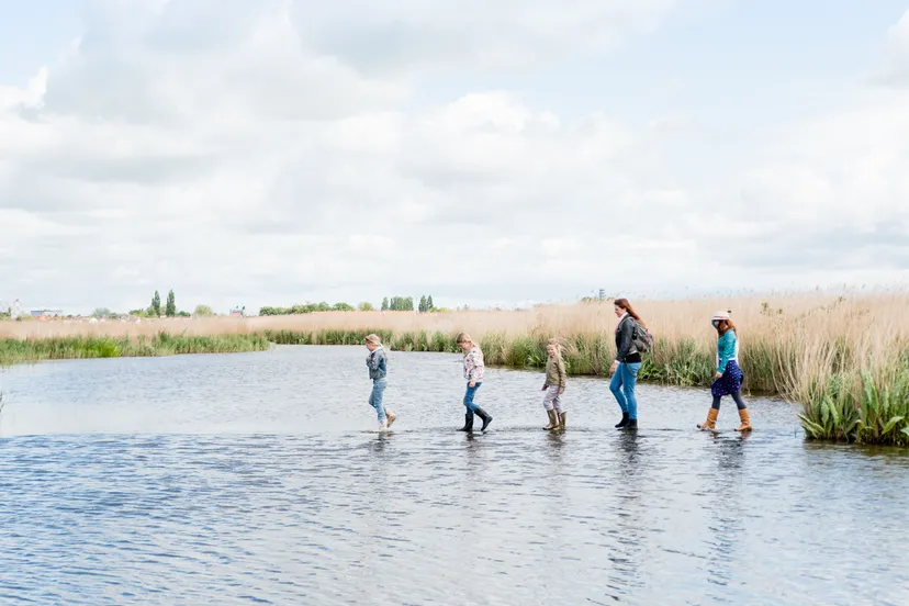 screenshot 20220526 071220