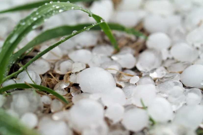 screenshot 20220531 110940