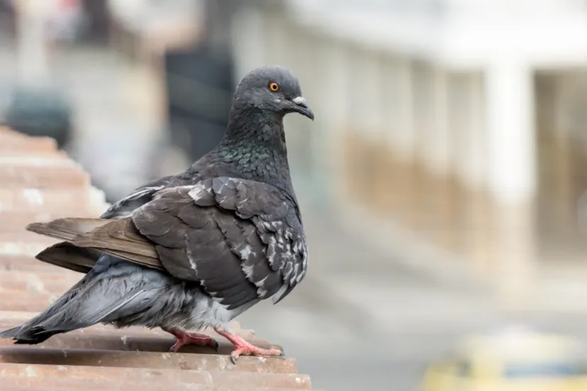 screenshot 20220531 163447