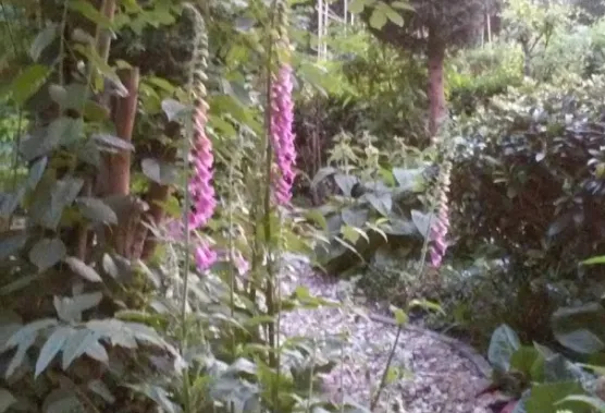 screenshot 20220605 132800