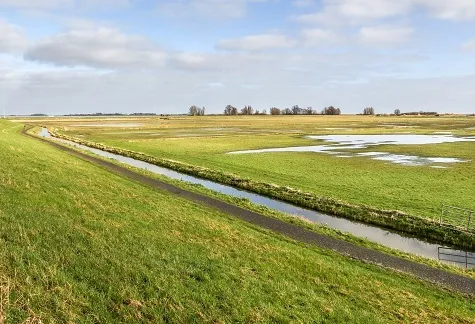 screenshot 20220605 135617