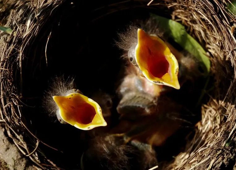 screenshot 20220607 122434