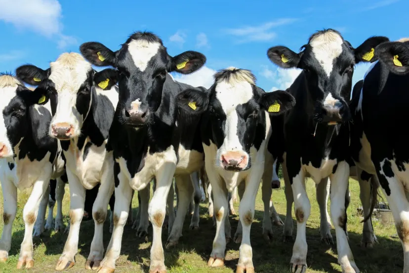 screenshot 20220611 102952