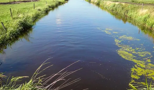 screenshot 20220612 093912