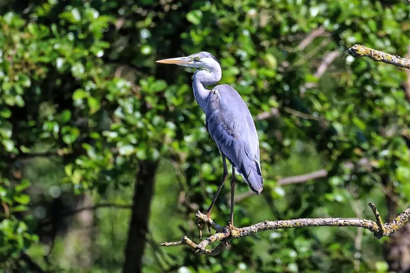 screenshot 20220613 131915