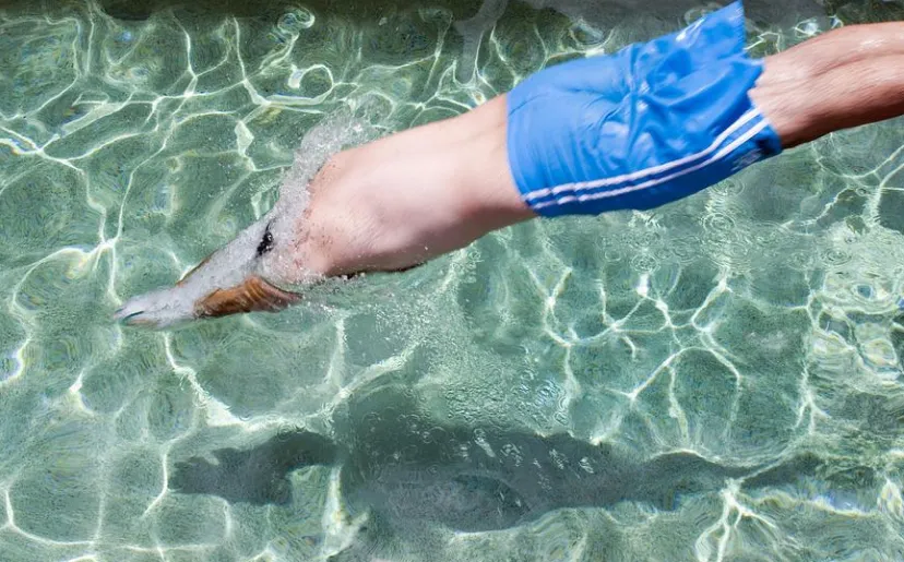 screenshot 20220617 095157