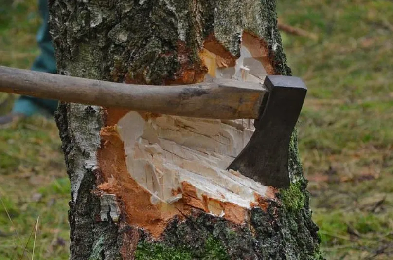 screenshot 20220617 143314