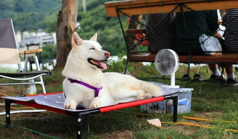 screenshot 20220618 100022