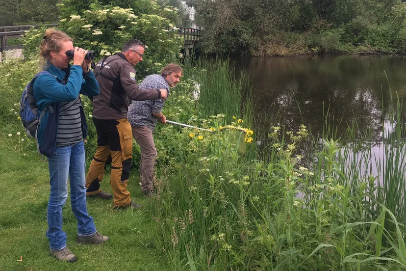 screenshot 20220618 165117