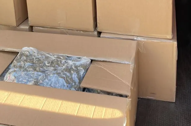 screenshot 20220620 120648