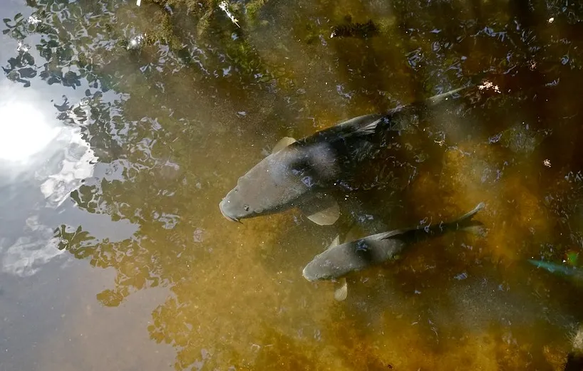 screenshot 20220624 173738