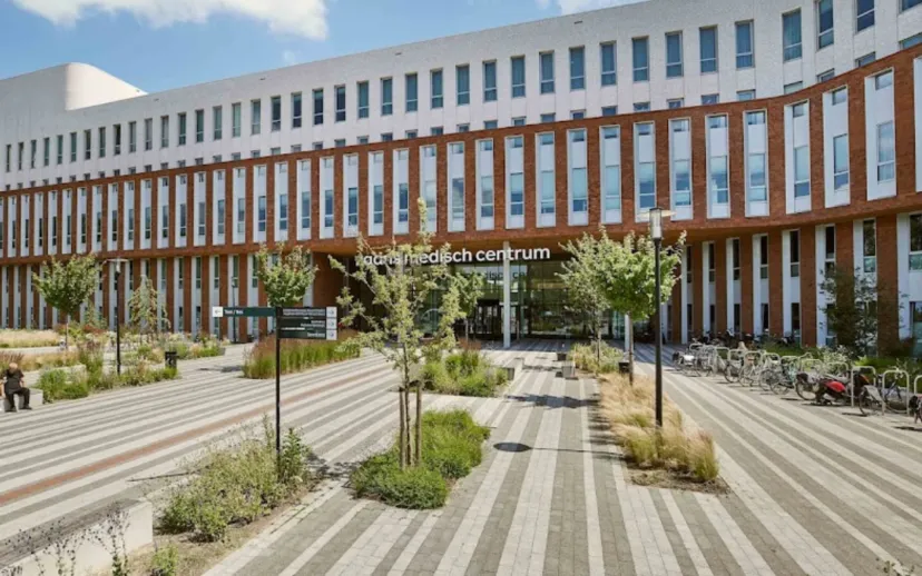 screenshot 20220627 171024 915x518 1 915x518 1