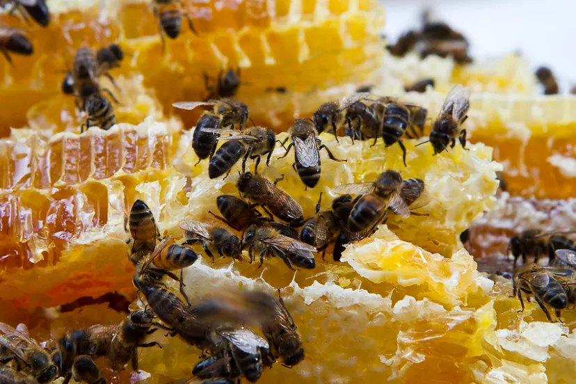 screenshot 20220705 105019