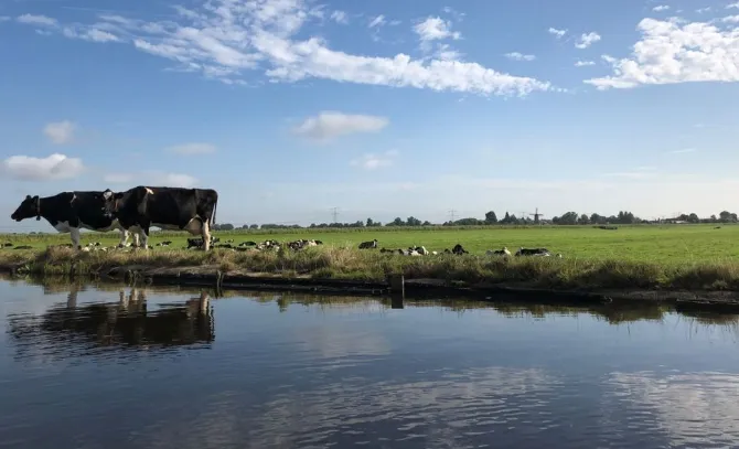 screenshot 20220711 124253