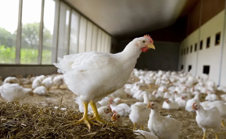 screenshot 20220713 113842